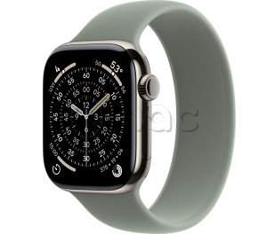 Купить Apple Watch Series 11 // 42мм GPS+Cellular // Корпус из титана нейтрального цвета, монобраслет серо-зеленого цвета