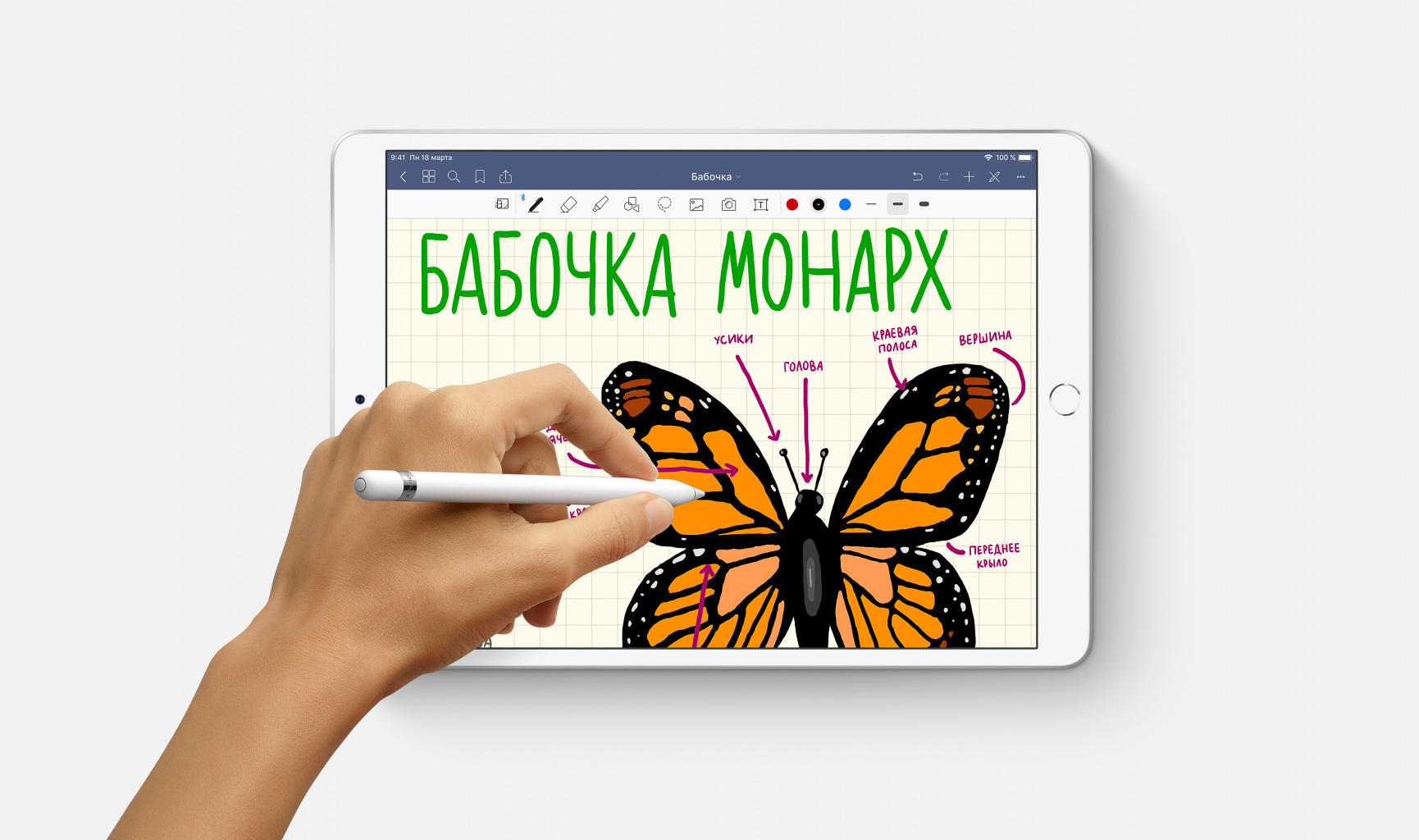 ipad-air-gallery-3_GEO_RU.jpg