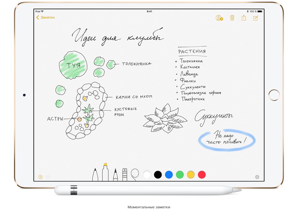 Способности Apple Pencil раскрываются в iOS 11