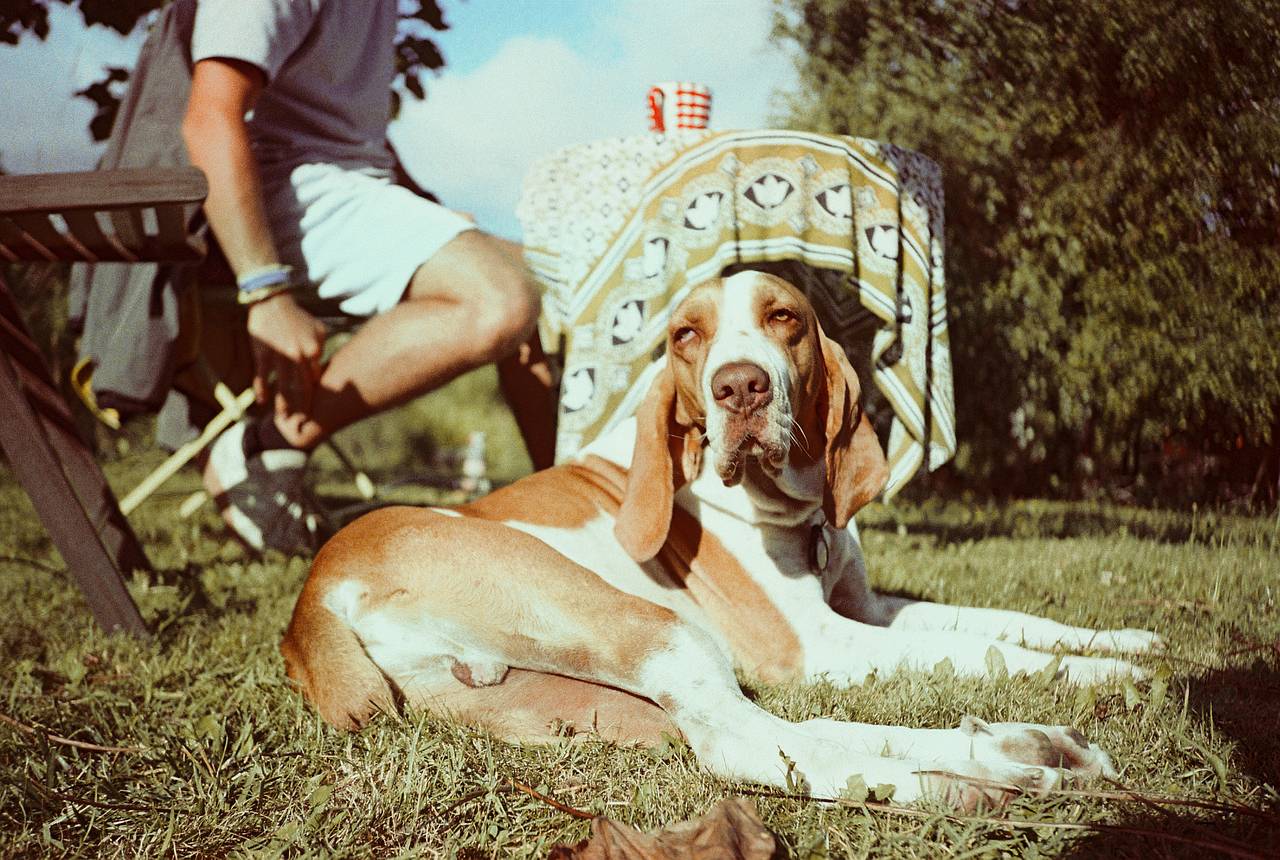 640x430x2.jpg 640x430x2.jpg