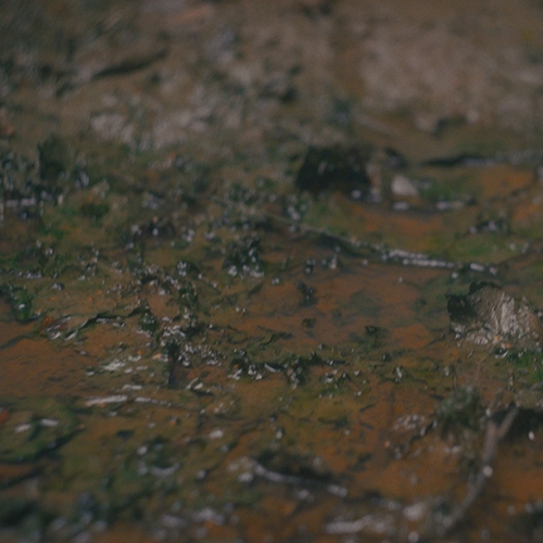 soilcircuitssquare-1.png