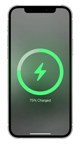 phone1.png.png