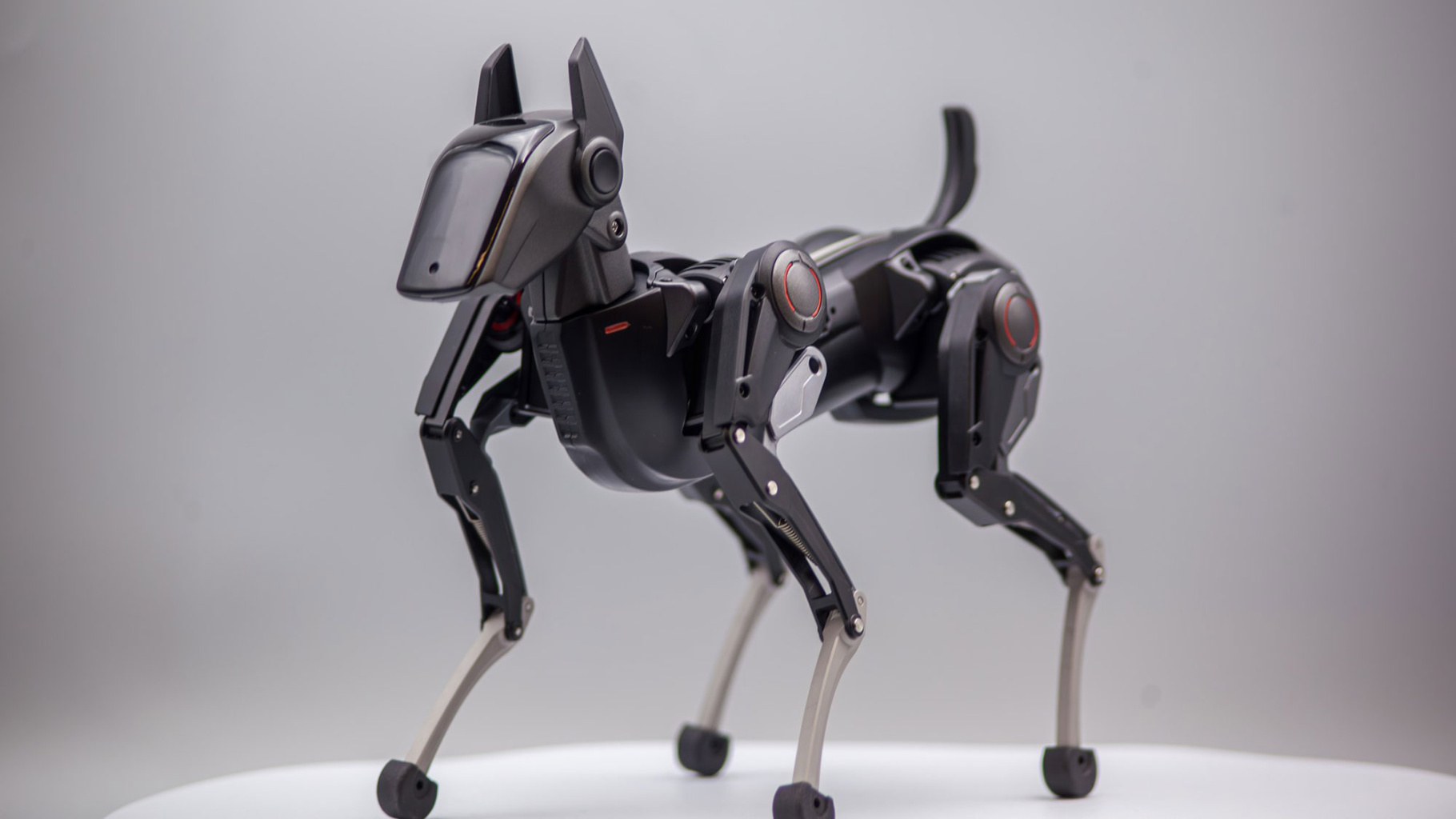 Hengbot-Sirius-AI-Robot-Dog.jpg