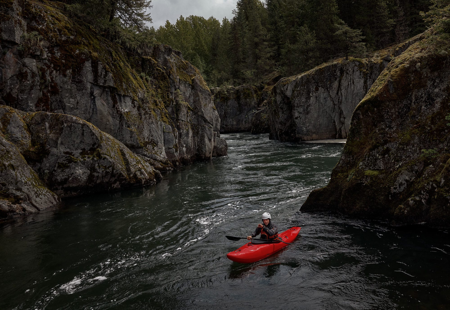 78055-1-D.jpg 78055-1-D.jpg