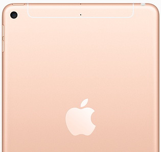 ipad-mini-witb-gold-cell-201903.jpg