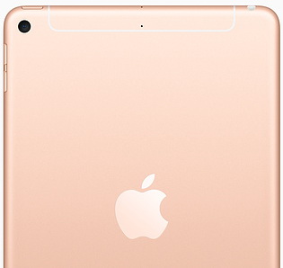 ipad-mini-witb-gold-cell-201903.jpg