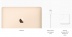 12-дюймовый MacBook 256 ГБ (MNYK2 / MRQN2) "Золотой" // Core M3 1.2 ГГц, 8 ГБ, 256 Гб, Intel HD 615 (Mid 2017)