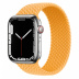 Apple Watch Series 7 // 45мм GPS + Cellular // Корпус из нержавеющей стали серебристого цвета, плетёный монобраслет цвета «спелый маис»