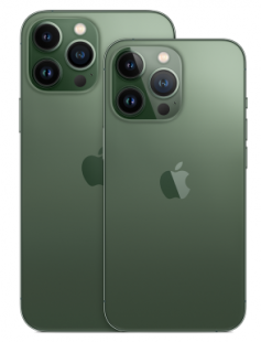 iPhone 13 Pro (Dual SIM) 1Tb Alpine Green / Альпийский зеленый