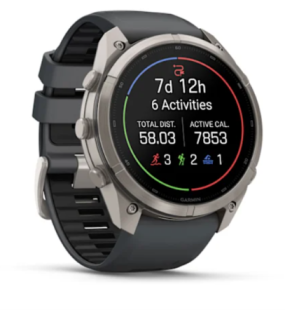 Мультиспортивные часы Garmin Fenix 9 Pro (47mm), титановый корпус, серый силиконовый ремешок (Graphite/Black)