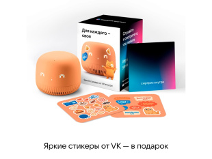 Умная колонка VК Капсула Нео (Оранжевый)