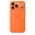 Силиконовый чехол MagSafe для iPhone 17 Pro Max (Orange)