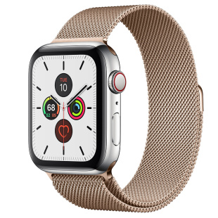 Apple Watch Series 5 // 40мм GPS + Cellular // Корпус из нержавеющей стали, миланский сетчатый браслет золотого цвета