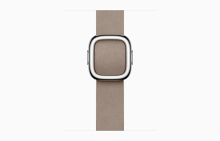 Apple Watch Series 9 // 41мм GPS+Cellular // Корпус из нержавеющей стали графитового цвета, ремешок каменного цвета с современной пряжкой (Modern Buckle), размер ремешка L