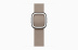 Apple Watch Series 9 // 41мм GPS+Cellular // Корпус из нержавеющей стали графитового цвета, ремешок каменного цвета с современной пряжкой (Modern Buckle), размер ремешка L Apple Watch Series 9 // 41мм GPS+Cellular // Корпус из нержавеющей стали графитового цвета, ремешок каменного цвета с современной пряжкой (Modern Buckle), размер ремешка L
