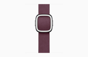 Apple Watch Series 9 // 41мм GPS+Cellular // Корпус из нержавеющей стали серебристого цвета, ремешок цвета "шелковица" с современной пряжкой (Modern Buckle), размер ремешка М