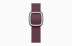 Apple Watch Series 9 // 41мм GPS+Cellular // Корпус из нержавеющей стали серебристого цвета, ремешок цвета "шелковица" с современной пряжкой (Modern Buckle), размер ремешка М