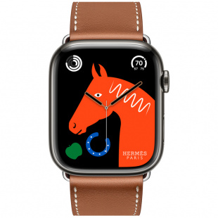 Apple Watch Series 8 Hermès // 45мм GPS + Cellular // Корпус из нержавеющей стали цвета «черный космос», ремешок Single Tour цвета Gold