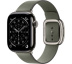 Apple Watch Series 11 // 42мм GPS+Cellular // Корпус из титана сланцевого цвета, ремешок цвета "серый шалфей" с современной пряжкой (Modern Buckle)