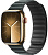 Купить Apple Watch Series 9 // 45мм GPS+Cellular // Корпус из нержавеющей стали золотого цвета, браслет цвета "вечнозеленый", размер M/L