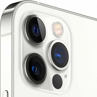 iPhone 12 Pro Max (Dual SIM) 256Gb Silver/Серебристый