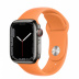 Apple Watch Series 7 // 41мм GPS + Cellular // Корпус из нержавеющей стали графитового цвета, спортивный ремешок цвета «весенняя мимоза»