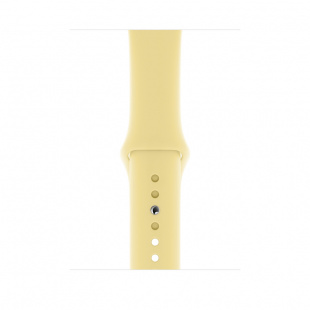 Apple Watch Series 5 // 40мм GPS + Cellular // Корпус из нержавеющей стали цвета «серый космос», спортивный ремешок цвета «лимонный мусс»