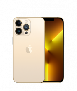 iPhone 13 Pro Max 1Tb Gold / Золотой