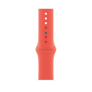 Apple Watch Series 6 // 44мм GPS + Cellular // Корпус из нержавеющей стали серебристого цвета, спортивный ремешок цвета «Розовый цитрус»