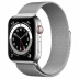 Apple Watch Series 6 // 44мм GPS + Cellular // Корпус из нержавеющей стали серебристого цвета, миланский сетчатый браслет серебристого цвета