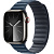 Купить Apple Watch Series 9 // 41мм GPS+Cellular // Корпус из нержавеющей стали графитового цвета, браслет цвета "тихоокеанский синий", размер M/L