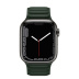 Apple Watch Series 7 // 41мм GPS + Cellular // Корпус из нержавеющей стали графитового цвета, кожаный браслет цвета «зелёная секвойя», размер ремешка S/M