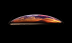 iPhone Xs 64Gb Gold