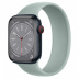 Apple Watch Series 8 // 45мм GPS + Cellular // Корпус из алюминия цвета "темная ночь", монобраслет цвета "суккулент"