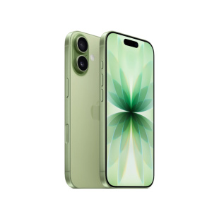 iPhone 17, 256Гб, Sage/Зеленый шалфей (Only eSIM) (без RuStore)