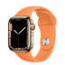 Apple Watch Series 7 // 45мм GPS + Cellular // Корпус из нержавеющей стали золотого цвета, спортивный ремешок цвета «весенняя мимоза»