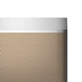 Портативная акустическая система Bang & Olufsen Beolit 20 (Grey Mist)