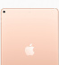 iPad Air (2019) 64Gb / Wi-Fi+ Cellular / Gold