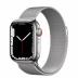 Apple Watch Series 7 // 41мм GPS + Cellular // Корпус из нержавеющей стали серебристого цвета, миланский сетчатый браслет серебристого цвета