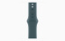 Apple Watch Series 10 // 46мм GPS+Cellular // Корпус из титана золотого цвета, спортивный ремешок цвета "Зеленое озеро"