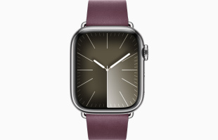 Apple Watch Series 9 // 41мм GPS+Cellular // Корпус из нержавеющей стали серебристого цвета, ремешок цвета "шелковица" с современной пряжкой (Modern Buckle), размер ремешка М