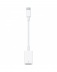 Переходник Apple USB-C to USB MJ1M2