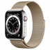 Apple Watch Series 6 // 44мм GPS + Cellular // Корпус из нержавеющей стали серебристого цвета, миланский сетчатый браслет золотого цвета