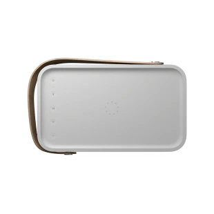 Портативная акустическая система Bang & Olufsen Beolit 20 (Grey Mist)