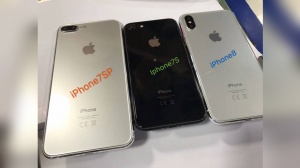 Опубликованы первые фото трех новинок iPhone