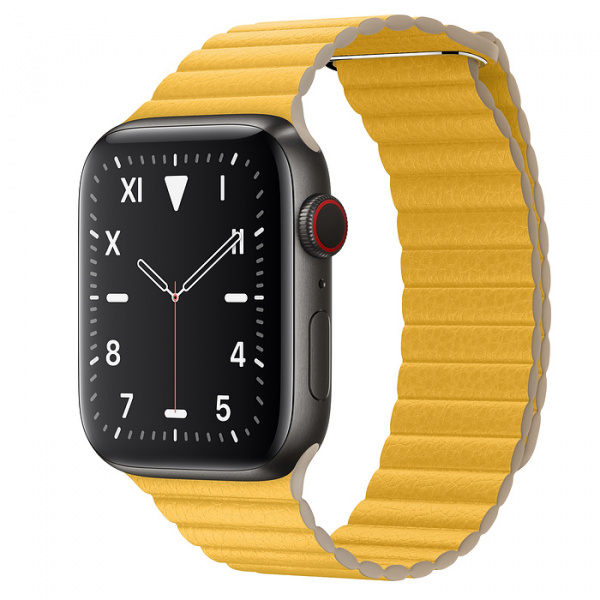 Watch series 5 titanium outlet