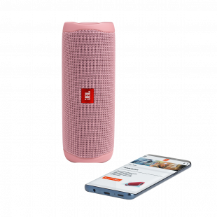 JBL Flip 5 Pink