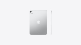 iPad Pro 11" (2024) 1Тb / Wi-Fi + Cellular / Silver (standart glass)