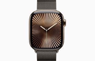 Apple Watch Series 10 // 42мм GPS+Cellular // Корпус из титана золотого цвета, миланский сетчатый браслет сланцевого цвета