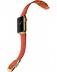 Apple Watch Edition 38мм, 18-каратное жёлтое золото, ярко-красный ремешок с современной пряжкой